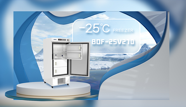 Морозильник Biobase -25℃ BDF-25V270